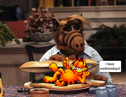 Alf & Garfield??