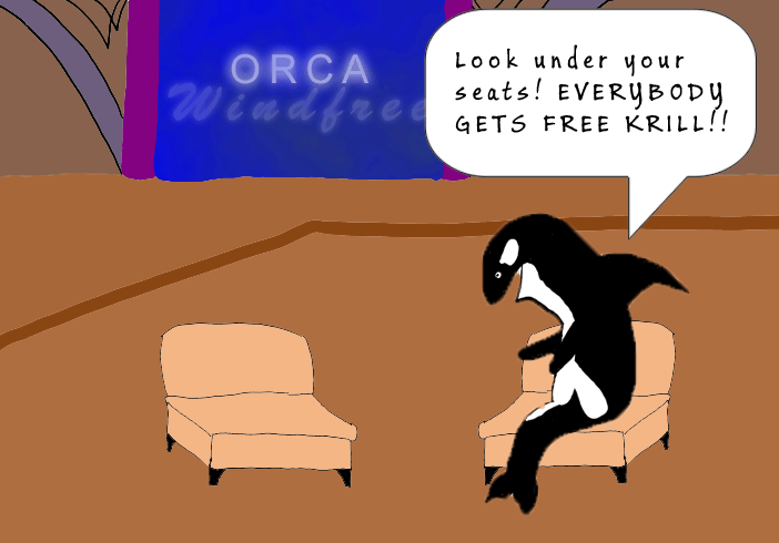 Today on Orca